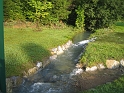 bild (46)